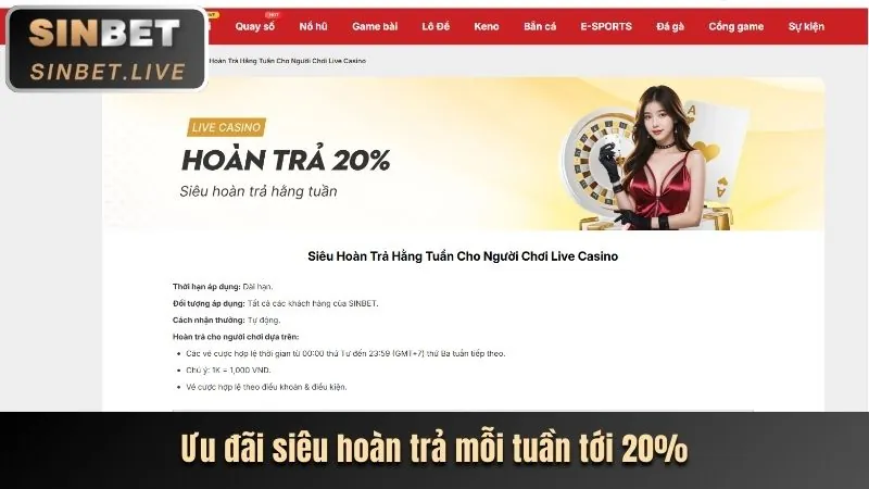 Hoàn trả hàng tuần tại 888vi Live Casino